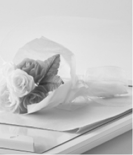 Casamento & Convites